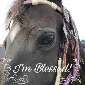 Meet your Posher, Sandra rennea